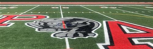 Field Turf 