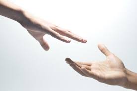 TRUST - CONFIANZA TRUST - CONFIANZA