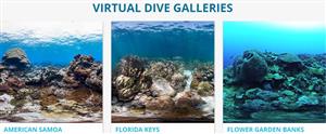 noaa dives 