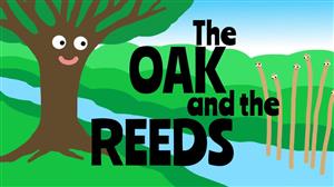 reed 