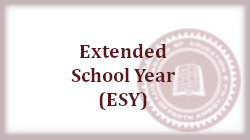  esy