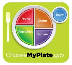 MY PLATE 